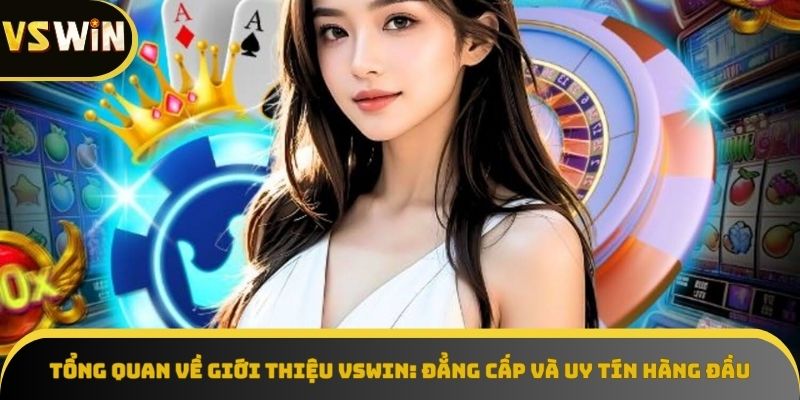 Tổng quan VSWI - đẳng cấp và uy tín hàng đầu